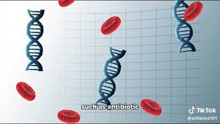 Horizontal Gene Transfer in Evolution [upl. by Mattie]