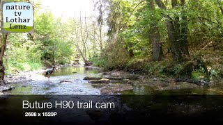 Buture H90 trail camera  2688 x 1520p [upl. by Cioban]