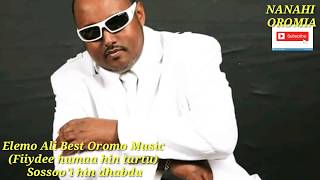 Oromoo Music Elemo Ali slow  Fiiydee humaa hin tartu Sossoohi hin dhabdu By Nanahi Oromia [upl. by Kutchins]