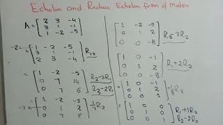 Row Echelon form of Matrix Explained  Echelon and Reduce Echelon Form [upl. by Winograd]