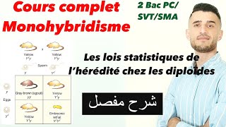 Cours complet les lois statistiques de l’hérédité Monohybridisme 2 Bac شرح مفصل ومبسط [upl. by Nomzzaj]