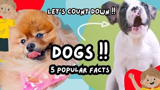 Dogs Let’s Count Down 5 Facts From Least Popular To Most [upl. by Vogele265]