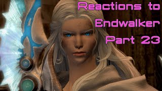 FFXIV Endwalker Reactions Part 23 Henceforth he shall walk [upl. by Bobbi195]