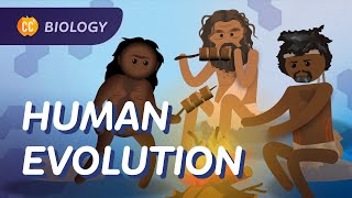 Human Evolution We Didnt Evolve From Chimps Crash Course Biology 19 [upl. by Toth224]