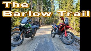 KLR 650 Ride on the Barlow Trail with a CRF 300L Rally [upl. by Peednas]