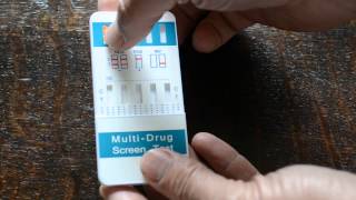 7 panel drug testing kit information Doing a urine drug test [upl. by Arelc782]