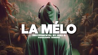 Free Melodic Drill Type Beat quotLa Méloquot Instru Rap drill Love Instrumental Melodieuse 2024 [upl. by Veradi940]