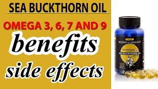 Sea Buckthorn Oil Benefits And Side Effects  Omega 3 6 7 And 9  hindi [upl. by Esertak]