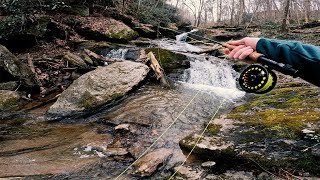 Attempting To Catch Wild Brook Trout in Pennsylvania flyfishing [upl. by Myna]