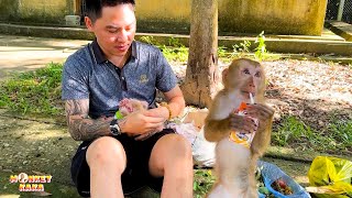 Watch the heartbreaking moments of Kakas confiscated monkey family [upl. by Secilu]