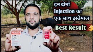 इन दोनों injection का एक साथ इस्तेमाल👍🏻गजब के परिणाम Best Result Nurokind Plus Tonophosphan Vet [upl. by Bethena]