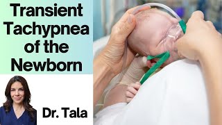 Transient Tachypnea of the Newborn  TTN  Tala Talks NICU [upl. by Tansey]