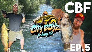 City Boyz Fishing AZ  Canal Fishing 20lb Carp  Lake Pleasant  Bartlett Lake  CBF  Ep 5 [upl. by Dorinda]