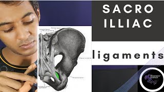 SI JOINT LIGAMENTSBIOMECHANICS OF SPINEPhysiotherapy Tutorial [upl. by Narod]