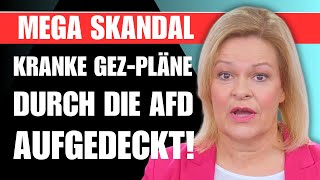 AfD DECKT KRANKEN GEZSKANDAL AUF 🚨 DIE GROTESKE WAHRHEIT KOMMT ANS LICHT [upl. by Haveman]