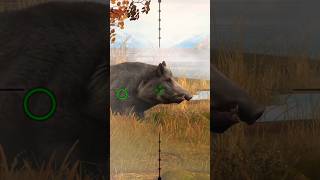 Boar Hunting hunting gaming shorts wildboarhills boarhunting hunting [upl. by Zephaniah]