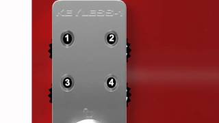 Keyless1 User Instructions [upl. by Roda]