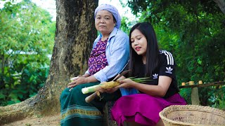 Bru traditional way of cooking bamboo shoots amp chicken in a bamboo tube village lifestyles [upl. by Ynobe]