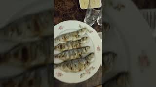 Muhteşem rakı sofrası rakı içenler öldü de su içen ölmedi mi shortvideo [upl. by Babcock931]