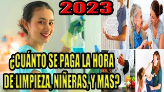 👉 CUANTO SE PAGA LA HORA de empleada domestica 2023 niñera cuidado de personas cocineros [upl. by Shaylyn]