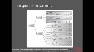 Metabolism of Xenobiotics [upl. by Phylys]