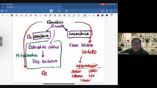 Bioquímica  Glucólisis [upl. by Ardelia]