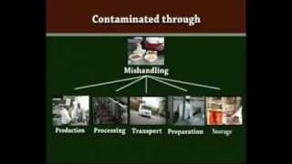 Food Contamination and Safety  English [upl. by Kirchner86]