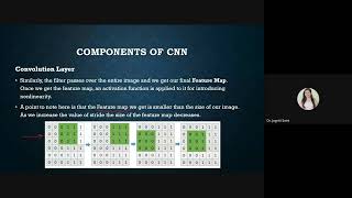 Master CNNs for Image Classification CIFAR10 Animal Dataset Tutorial [upl. by Mcdougall]