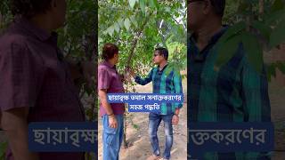 ছায়াবৃক্ষ তমাল সনাক্তকরণের সহজ পদ্ধতি। [upl. by Yerfej]