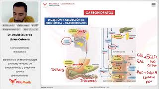 Carbohidratos  Generalidades parte 2 [upl. by Andrien]