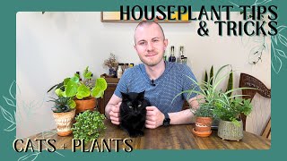 Cats  Plants – How Do I Have A Cat amp Hundreds Of Plants  Houseplant Tips amp Tricks Ep 32 [upl. by Crysta]