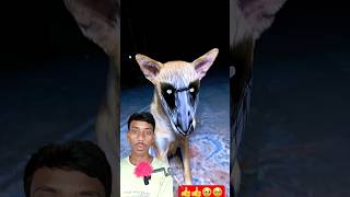 Misti ki bhai ne bhoot dekha mistilifestyle youtubeshorts trending mistilifestyle shortvideo [upl. by Goldi698]