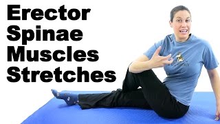 Erector Spinae Muscles Stretches  Ask Doctor Jo [upl. by Casia447]