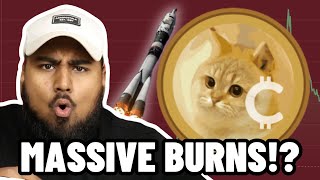 CATCOIN MASSIVE BURNS WILL THIS LEAD TO A CAT COIN BINANCE LISTING [upl. by Pickens709]