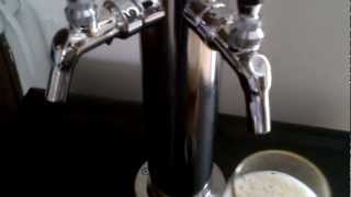 Danby Kegerator Build [upl. by Tobe]