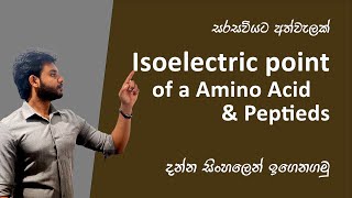 How to find Isoelectric point of Amino acids and dipeptides [upl. by Turner97]