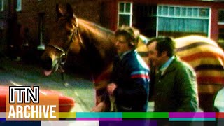 Red Rum Returns Home a Hero After Third Grand National Win 1977 [upl. by Kilgore]