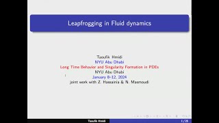 Leapfrogging motion in fluid dynamics by Taoufik Hmidi New York University Abu Dhabi [upl. by Lleraj]