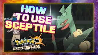 How to use Sceptile  6 Movesets for using Sceptile competitively  Pokemon Ultra Sun and Moon [upl. by Lanctot]