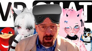 Why VRchat is The Worst [upl. by Iveksarap]