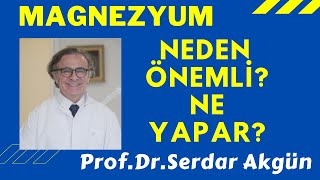 Besin Takviyesi Magnezyum ProfDrSerdar Akgün Sağlıklı Yaşam Sağlık Haberleri [upl. by Preiser316]