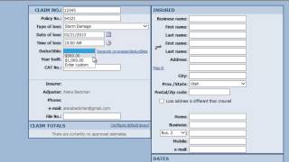 Symbility  Entering Basic Claimant Info beginning of claim [upl. by Nrehtak]