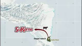 ¿Does SUKARNE know the origin of the beef it is buying in Nicaragua [upl. by Aigroeg]