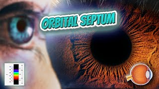 Orbital septum  Your EYEBALLS  EYNTK 👁️👁️💉😳💊🔊💯✅ [upl. by Shu641]