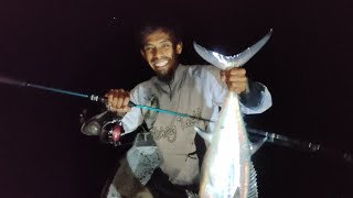 MANCING JIGGING DOGTOOTH TUNA [upl. by Ardnala]