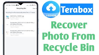 how to recover photo from recycle bin in terabox app [upl. by Enytnoel948]