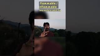 flammable vs inflammable theenglishalpha [upl. by Airemat393]