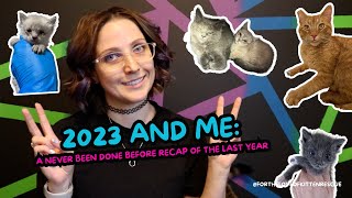 2023 and Me a never been done before recap of the last year  Fortheloveofkittenrescue [upl. by Asfah]