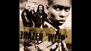 Skunk Anansie  quotBrazen Weepquot Nick Harvey Future Tribal Mix [upl. by Jennilee306]