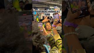 ASAP Rocky mobbed at his Puma event hiphop explore celebrity puma rapper shortsvideo [upl. by Thaxter954]